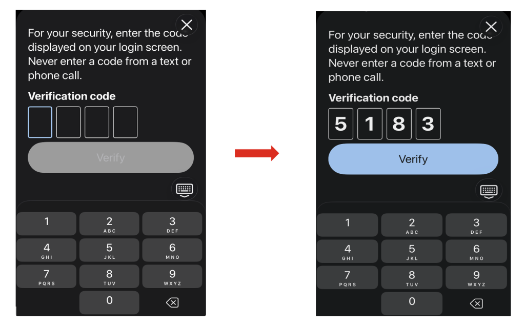 Duo verification graphic