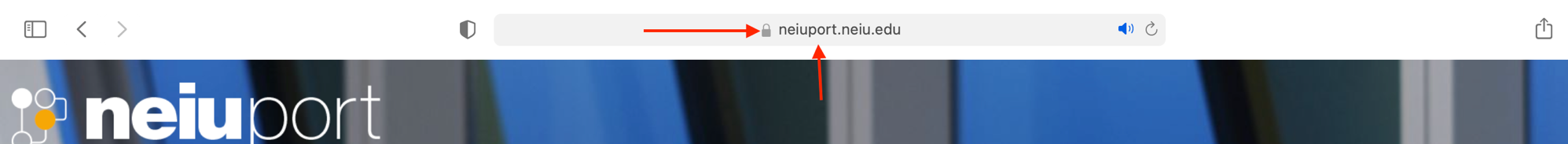 NEIUport graphic