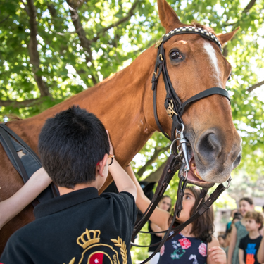 students meet a horse from the Chicago Police Department’s Mounted Unit