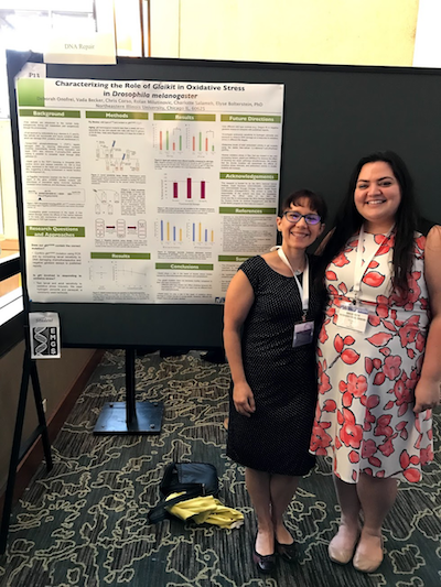 Biology major Debbie Onofrei and Assistant Professor of Biology Elyse Bolterstein smile as they stand in front of Onofrei's poster presentation.